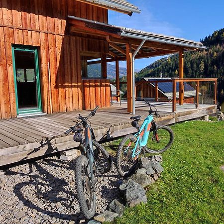 Panorama-Chalet Alpengloeckchen Stadl an der Mur Экстерьер фото